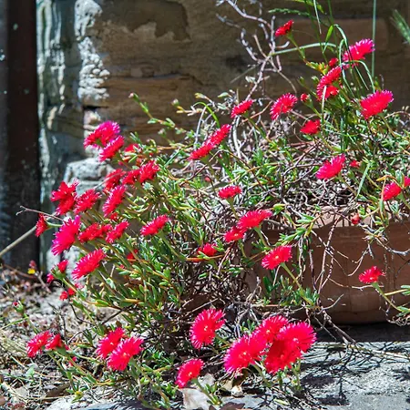 Holiday home Buon Vento, La Casa Dei Millefiori Un Magico Bouquet A Gubbio, Italy